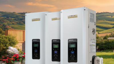 Unlock Energy Efficiency: The 2025 Guide to 3KW Hybrid Inverters for Homes