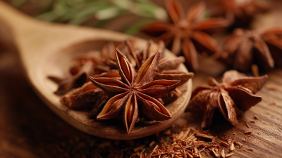 Top 5 Benefits of Anise Star: A Guide to Its Unique Flavor and Health Boosts