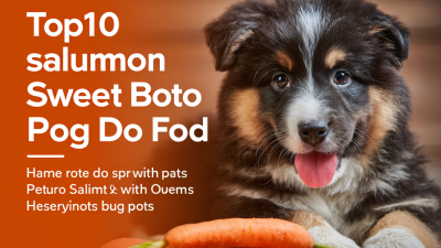Top 10 Salmon and Sweet Potato Dog Food Brands for Healthy Pups