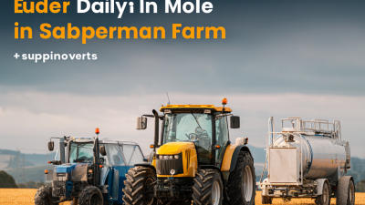 What is the Role of Dairy Equipment Suppliers in Modern Dairy Farming