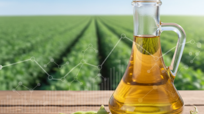 Why Choose Soybean Oil? Discover Its Health Benefits and Industry Trends