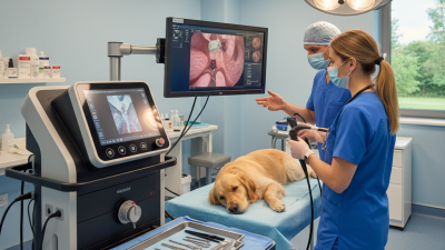 10 Essential Tips for Choosing the Best Veterinary Endoscopy Equipment for Your Practice