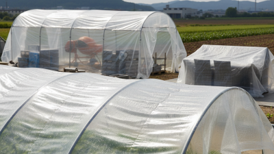 2025 Top 10 Clear Plastic Sheeting Options for Every Project