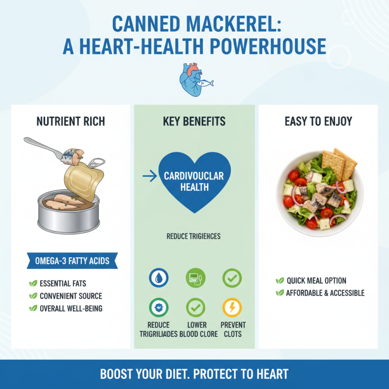 Top 10 Health Benefits of Canned Mackerel You Need to Know