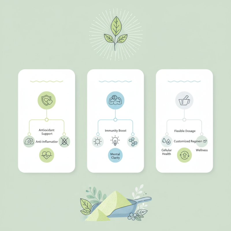 Top Benefits of Bulk Kaempferol Powder: How It Boosts Health and Wellness