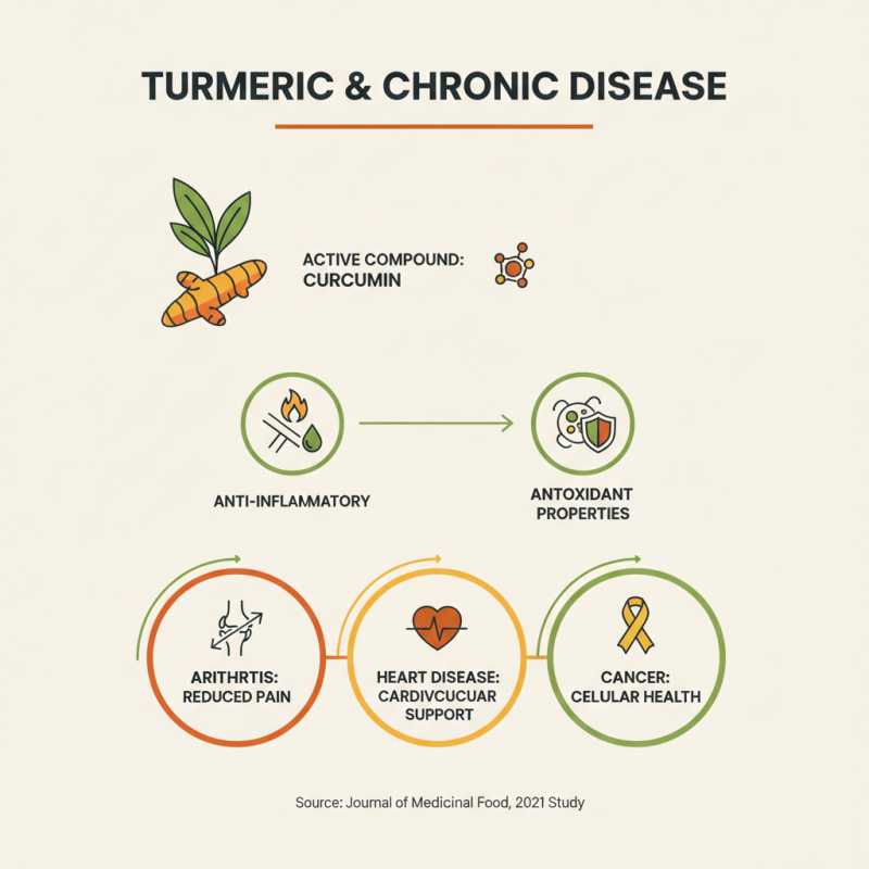 Top 10 Health Benefits of Turmeric Powder You Need to Know in 2023