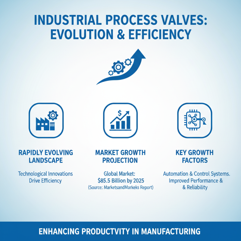 Top Types of Process Valves for Industrial Applications in 2025