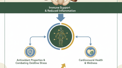 Why You Should Consider Using Shiitake Extract for Your Health
