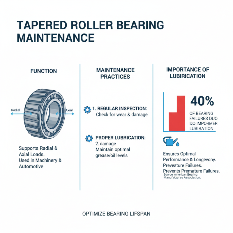 Top 10 Tapered Roller Bearings for Optimal Performance and Longevity