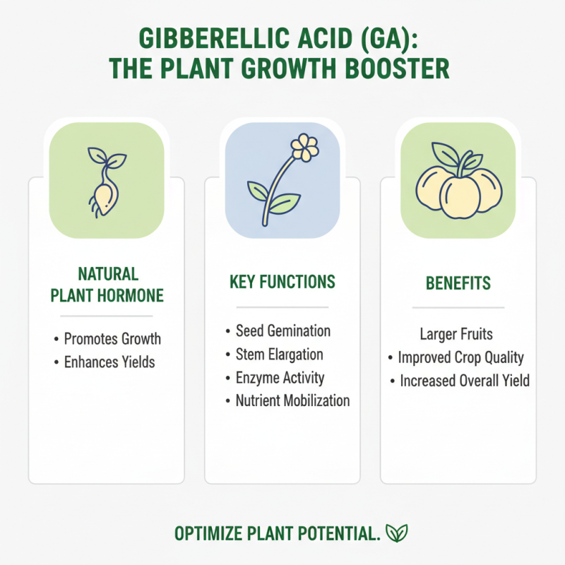 Top 10 Uses of Gibberellic Acid in Plants for Increased Growth and Yield