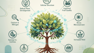 Top 10 Benefits of Calcium Nitrate Boron Fertilizer for Your Plants