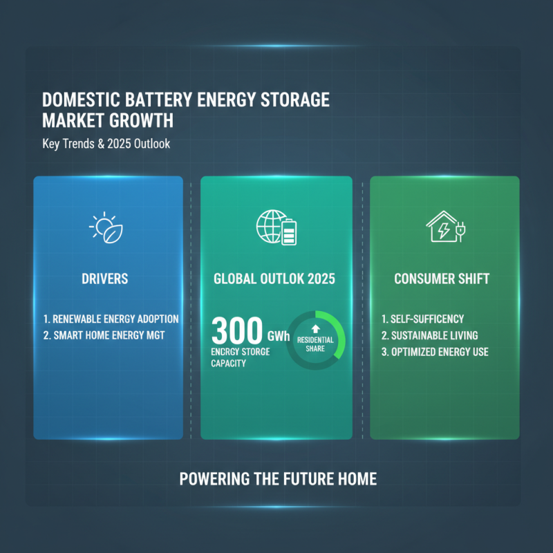 Top Domestic Battery Energy Storage Solutions to Watch for in 2025