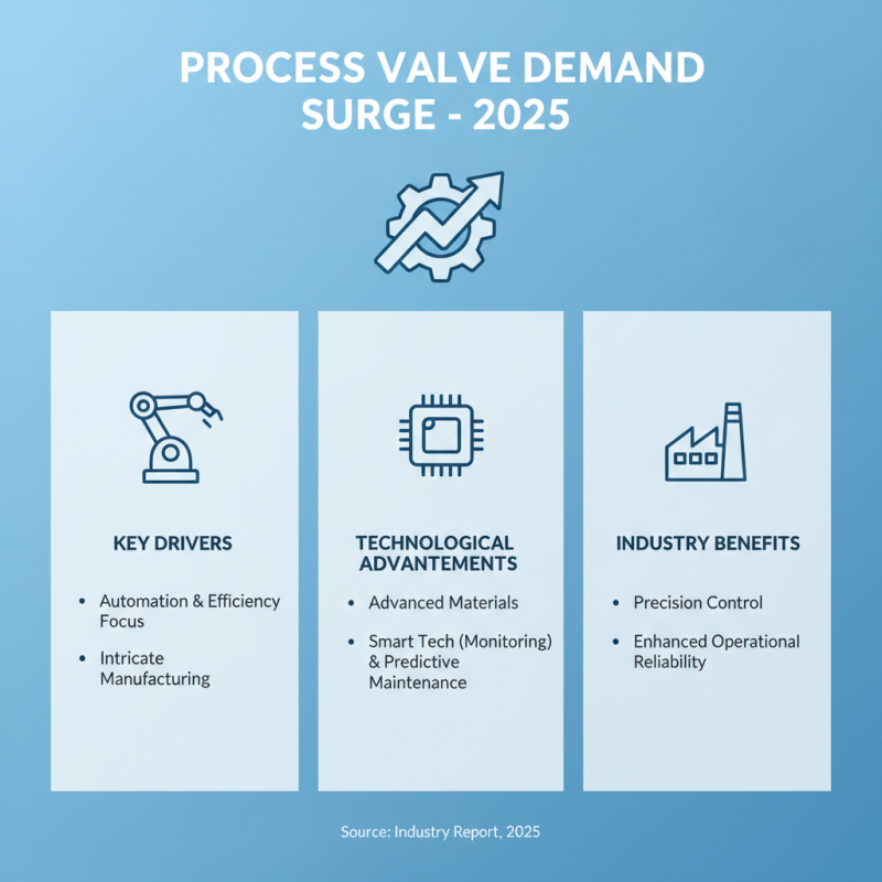 Top Types of Process Valves for Industrial Applications in 2025