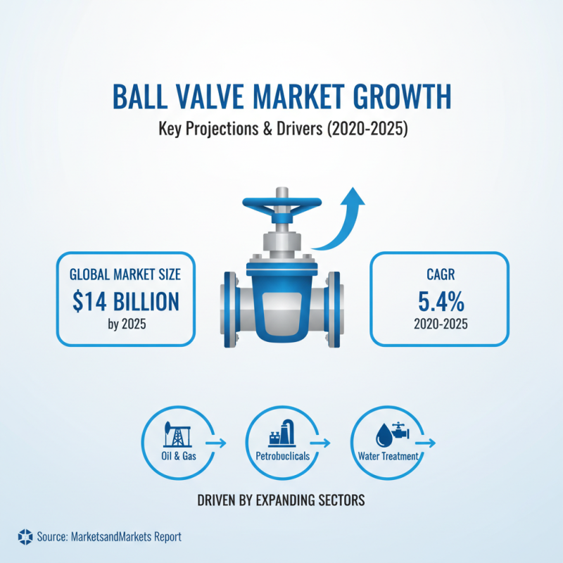2025 Top Trends in Ball Valves Innovations and Applications