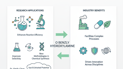 2025 Top Uses and Benefits of O Benzyl Hydroxylamine for Research and Industry