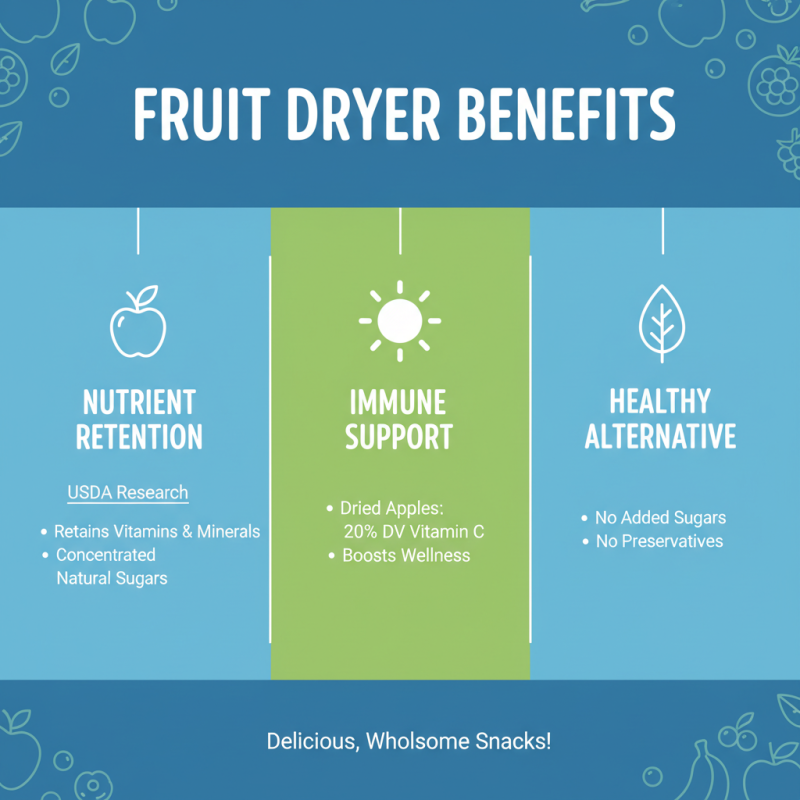 Why You Should Consider Using Fruit Dryers for Healthier Snacks