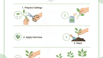 How to Use Plant Rooting Hormone for Successful Plant Propagation