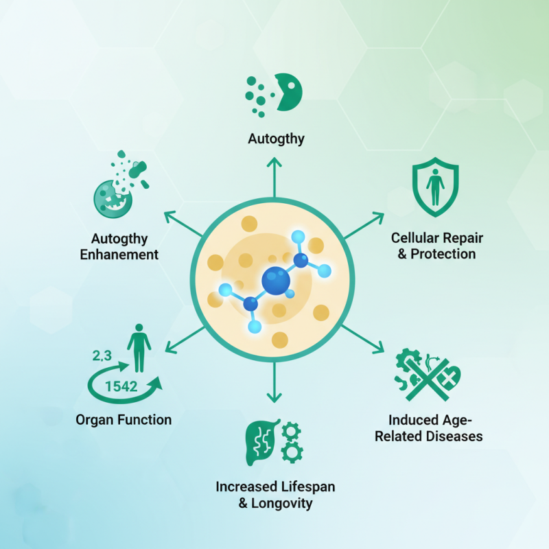 Top Benefits of Spermidine Trihydrochloride for Health and Longevity