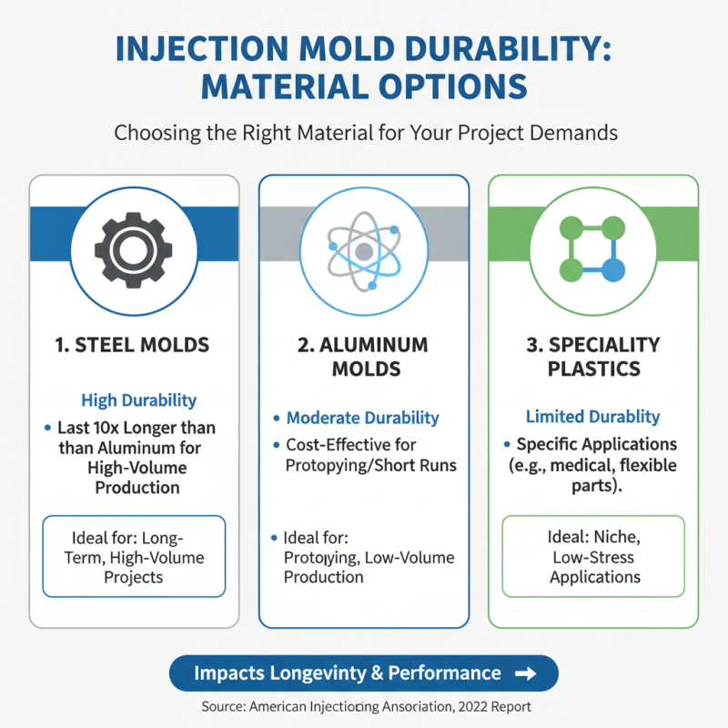 Essential Tips for Choosing the Right Injection Machine Mold for Your Projects