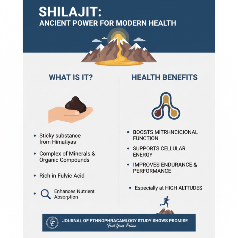 How to Use Bulk Shilajit Extract Powder for Maximum Health Benefits