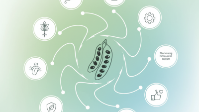 Top 10 Facts You Need to Know About E 410 Food Additive