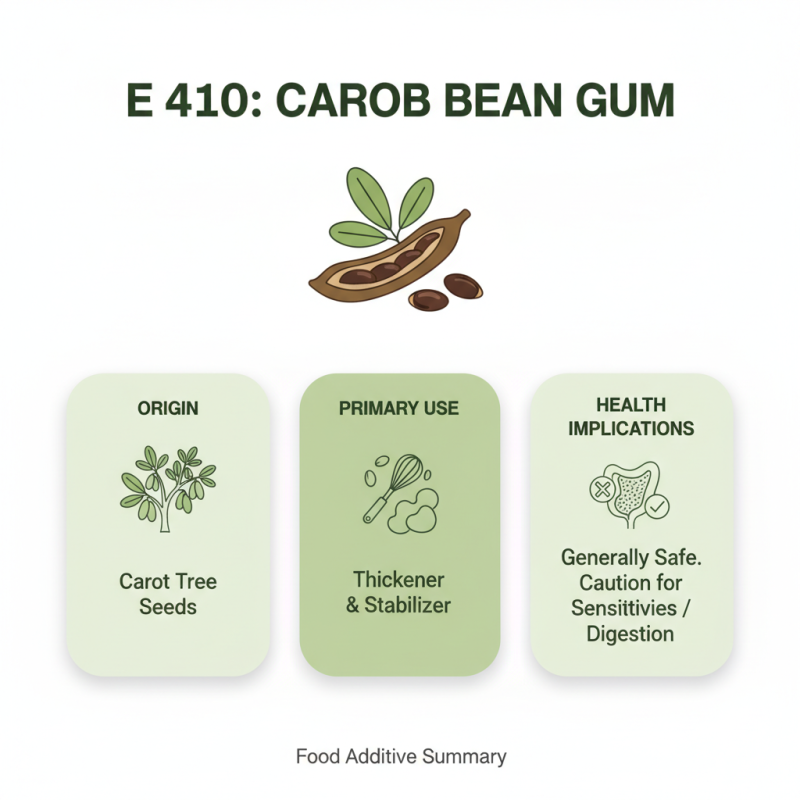 Top 10 Facts You Need to Know About E 410 Food Additive