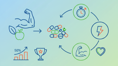 How to Choose the Best China Pet Jewelry Designer and Manufacturer?