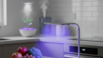 Top 10 Benefits of Ultraviolet Light Lamps You Should Know