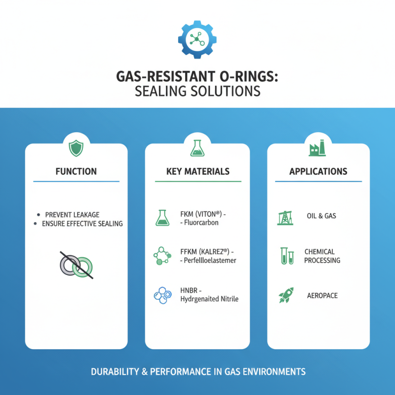 What are Gas Resistant O Rings and How Do They Work
