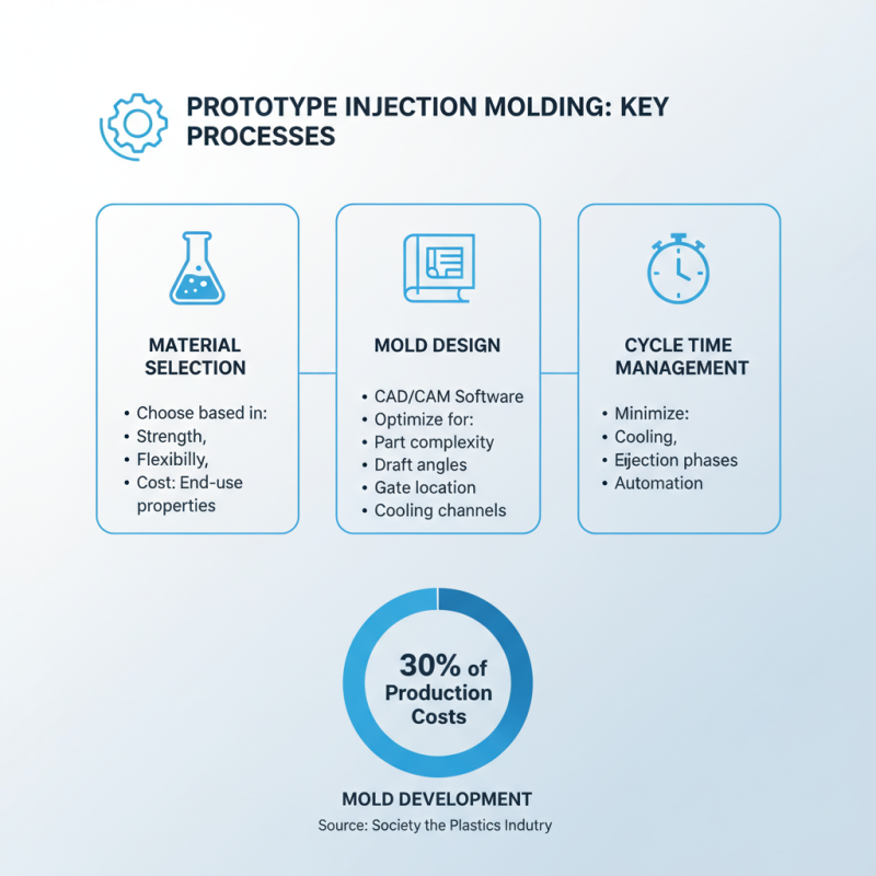 Top 10 Tips for Successful Prototype Injection Molding You Need to Know