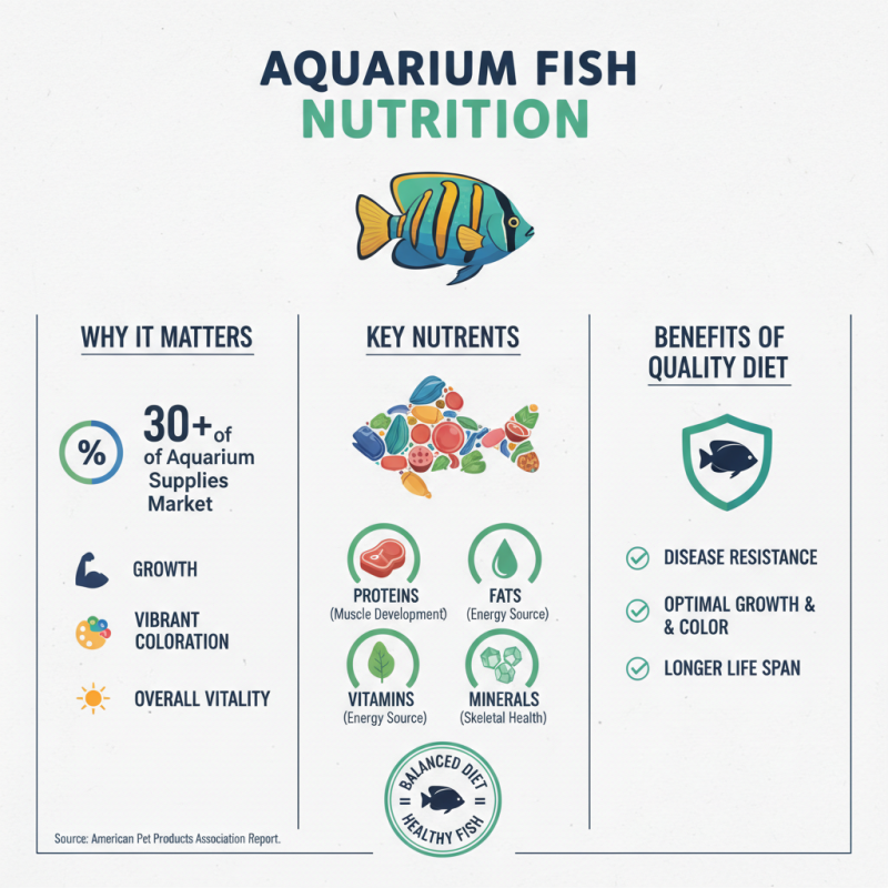 Top 10 Essential Fish Pet Supplies for Happy and Healthy Aquariums