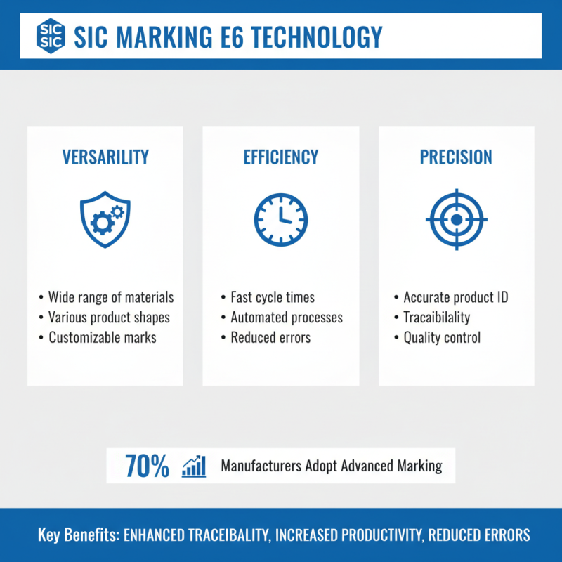 Ultimate Guide to Sic Marking E6 Techniques and Tips for Success