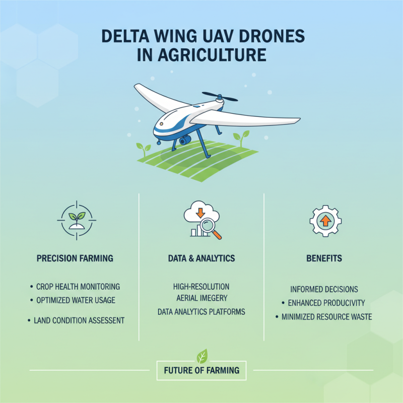 What is a Delta Wing UAV Drone and How Does it Revolutionize Aerial Technology