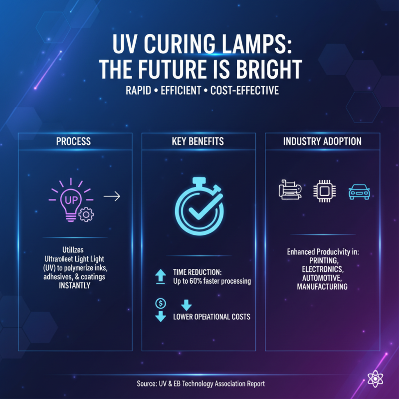 Why You Should Consider Using Curing UV Lamps for Your Projects