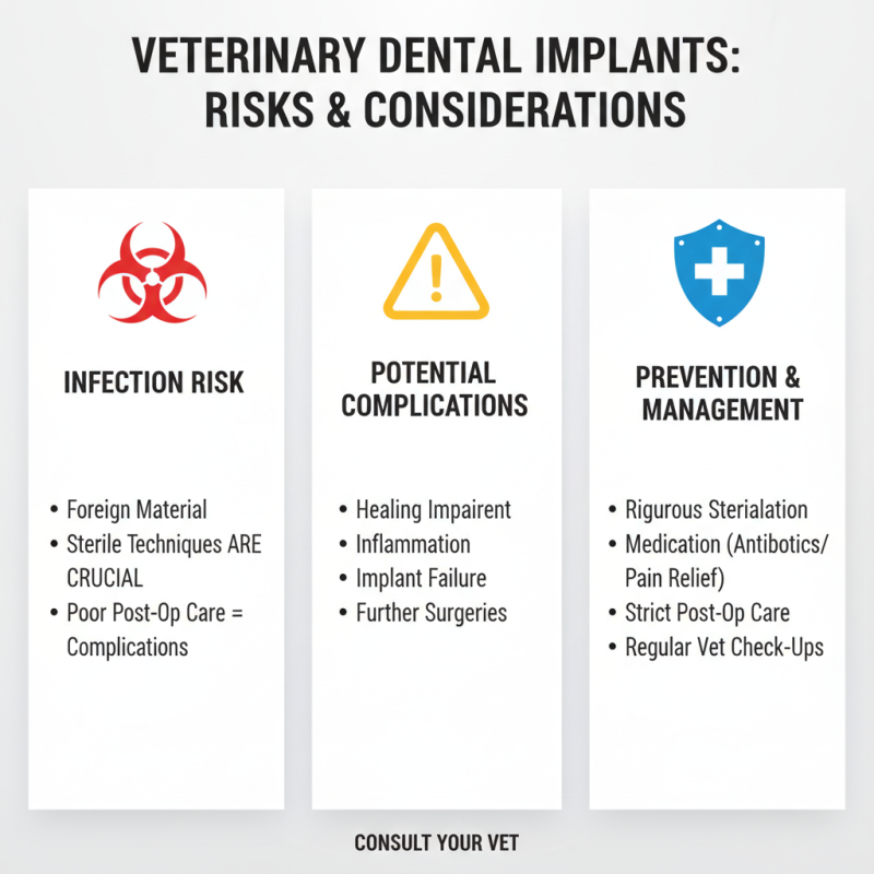 Top Benefits of Veterinary Dental Implants for Your Pet's Oral Health