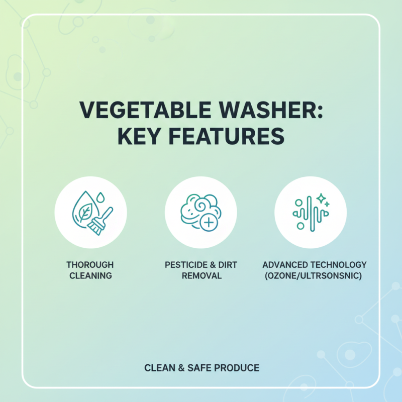2025's Top Vegetable Washers: Best Features and Buying Guide