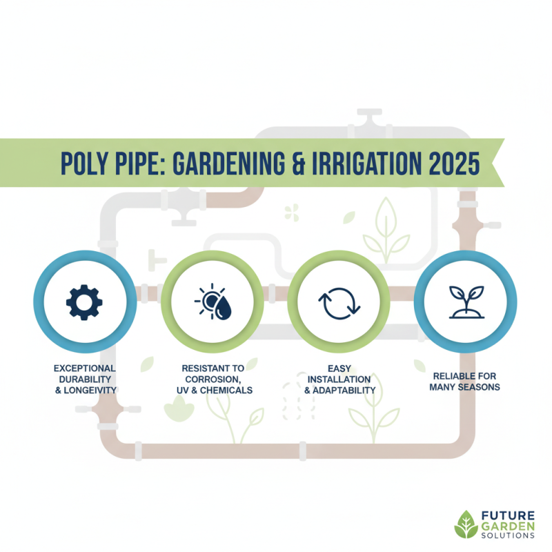 Top Benefits of Using Poly Pipe in 2025 Gardening and Irrigation Systems