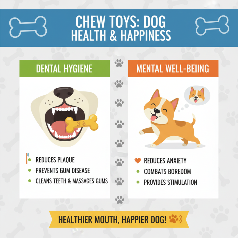How to Choose the Best Chew Toys for Dogs to Keep Them Happy and Healthy