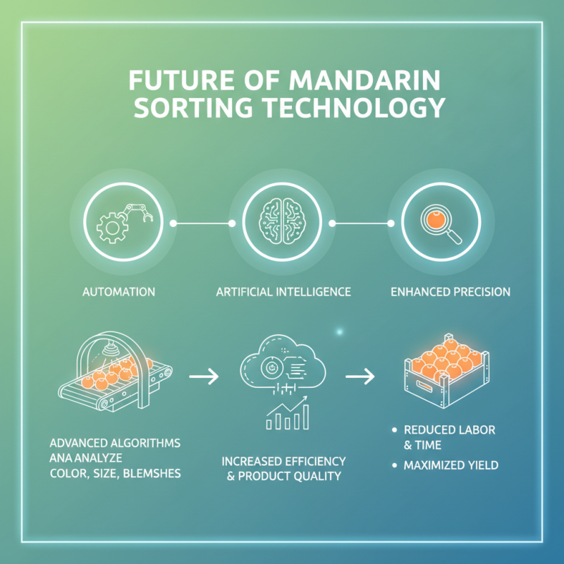 Top 5 Mandarin Sorting Machines of 2025: Features and Benefits Explained