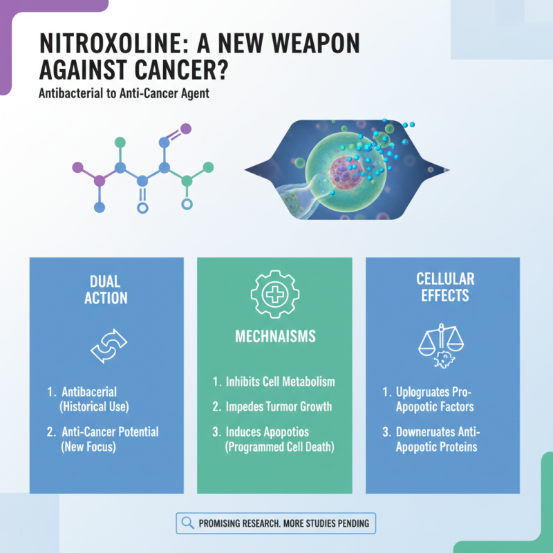Exploring the Anticancerogen Potential of Nitroxoline in 2025