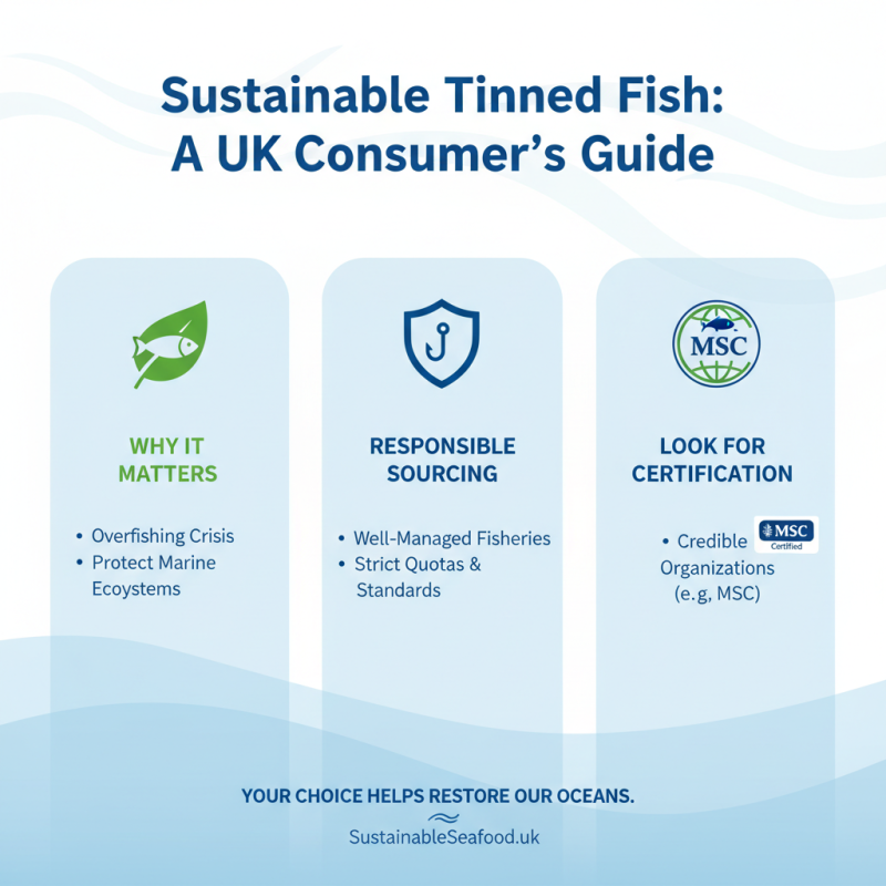 Best Tinned Fish in the UK A Comprehensive Guide to Top Choices and Benefits