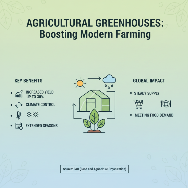 Why You Should Invest in an Agricultural Greenhouse for Maximum Crop Yields