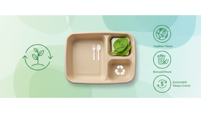 Why Choose Eco Friendly Pulp Bento Box for Sustainable Meal Prep