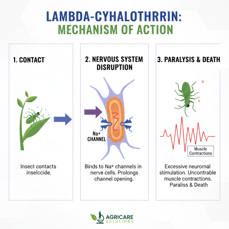 Top 10 Benefits of Lambda Cyhalothrin for Pest Control and Agriculture
