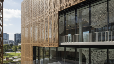 How to Treat Nail Intramedullari Effectively?