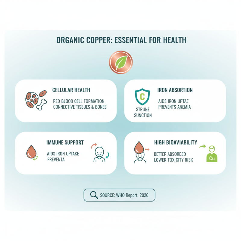 2025 Top Benefits of Organic Copper for Health and Sustainability