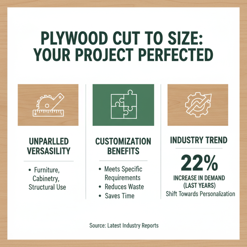 Why You Should Choose Ply Cut to Size for Your Next Project