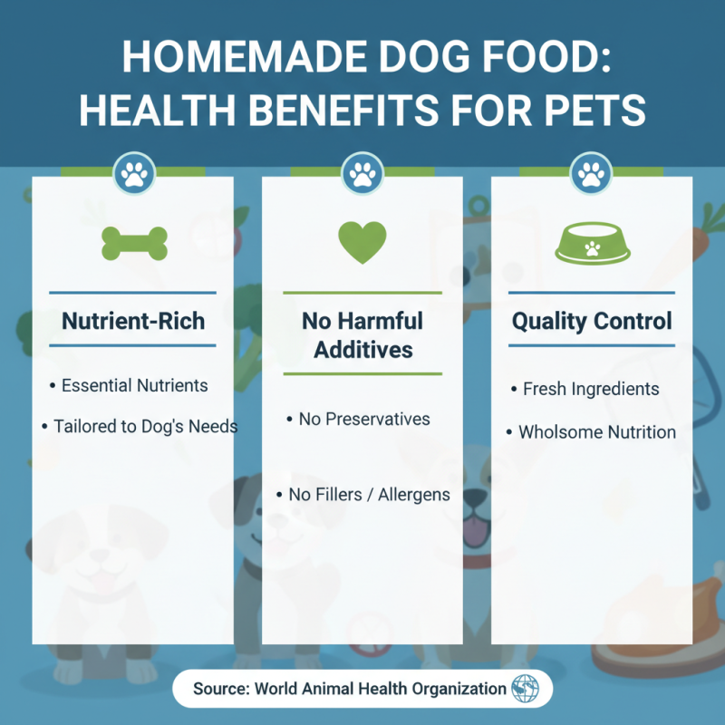 What is the Most Healthy Dog Food for My Pet's Wellbeing
