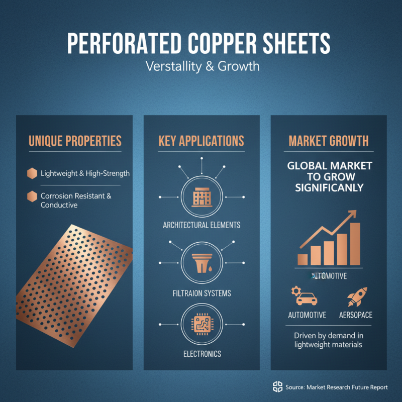 Top 10 Tips for Choosing the Best Perforated Copper Sheet for Your Project