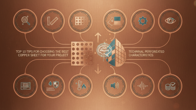 Top 10 Tips for Choosing the Best Perforated Copper Sheet for Your Project